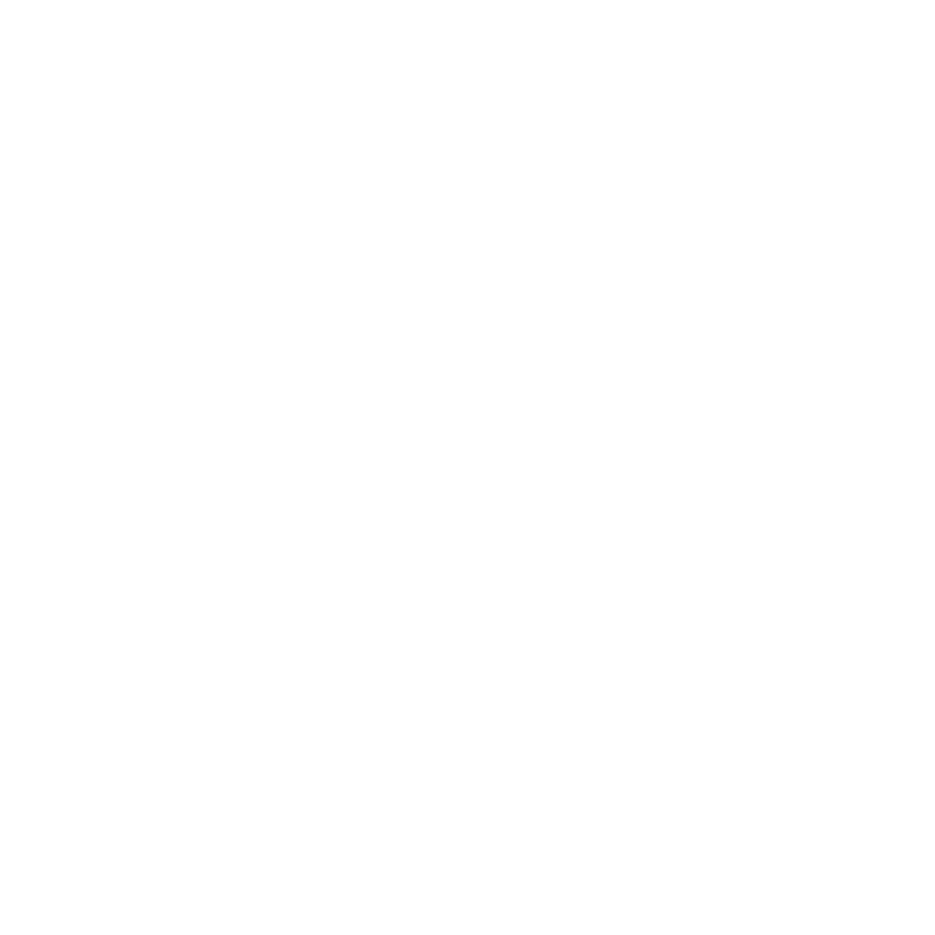 Larian Tech Logo